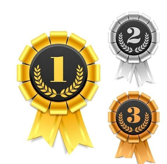 橄欖枝獎章如何設計,橄欖枝獎牌設計圖片。